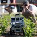 “FarmRobotix” celebrates premiere at the DLG Feldtage 2024 event