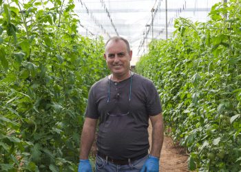 Growers making major savings with new crop solution