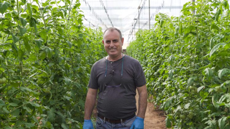 Growers making major savings with new crop solution
