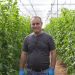 Growers making major savings with new crop solution