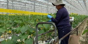 GreenTech Americas 2024 cultivates success in controlled environments