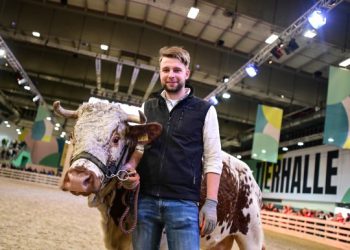 Animal heavyweights and four-legged dwarfs at Grüne Woche 2024