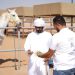 Al Dahra’s Al Tannaf Revolutionises access to Animal Feed with Innovative App