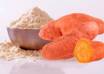 Sales of Sweet Potato Flour are forecasted to reach US$ 1.34 billion by 2034 – Fact.MR