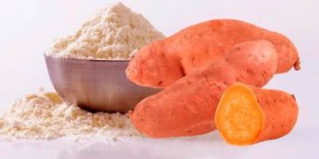 Sales of Sweet Potato Flour are forecasted to reach US$ 1.34 billion by 2034 – Fact.MR