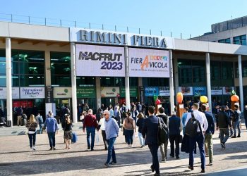 Macfrut Table Grape Symposium: table grapes, the star product at Macfrut 2024