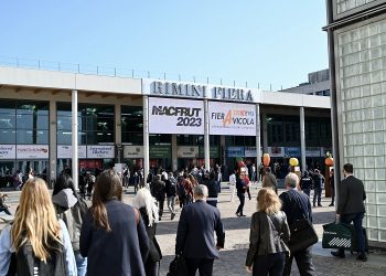 Macfrut 2024: spotlight on innovation and sustainability in a packed programme of events