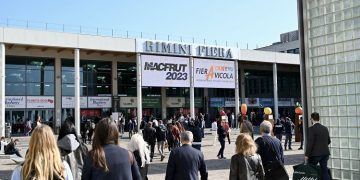 Macfrut 2024: spotlight on innovation and sustainability in a packed programme of events