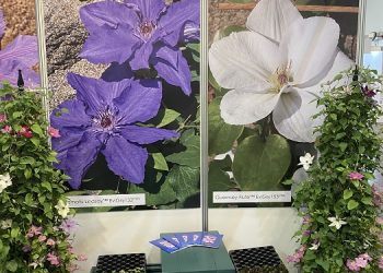 UK exhibitor group at IPM 2024 reports fruitful participation