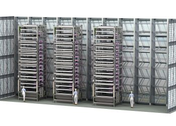 Urban Crop Solutions Innovative Installation For Multilayer Cultivation Transforms Vertical Horticulture