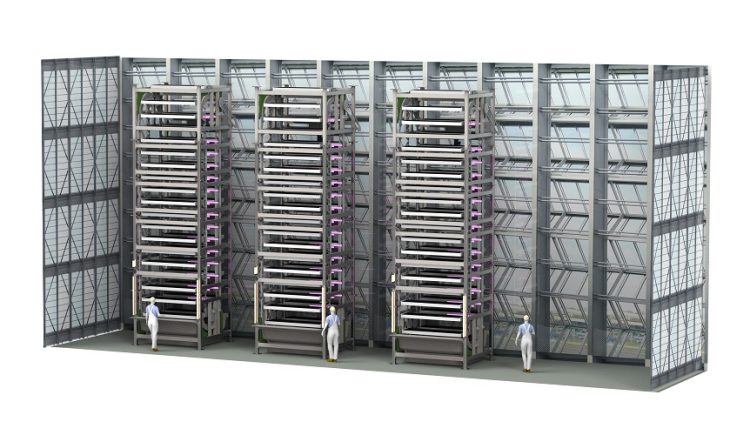 Urban Crop Solutions Innovative Installation For Multilayer Cultivation Transforms Vertical Horticulture