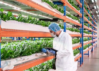 Emirates Flight Catering fully acquires Bustanica, the world’s largest indoor vertical farm