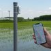 Sustainable rice paddies: Riso Gallo chooses xFarm Technologies’ digital solutions to digitalise its supply chain