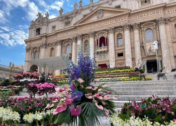 Dutch flowers back in St. Peter’s Square in Rome at Easter