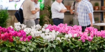 Iberflora 2024 bookings 26% up with 80% of exhibition space already sold