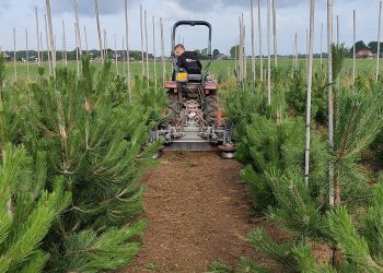 Mechanical Hoeing Machine For Orchard, Vineyard And Tree Nurseries