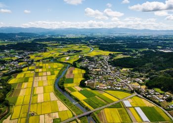 RX Japan’s J AGRI Spotlights Kyushu’s Potential as a Global Livestock Farming Hub