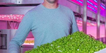 More efficient cultivation with controlled raising under LED lighting