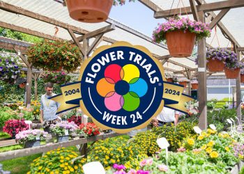 20 Years FlowerTrials®: From joint open days to prime event for assortment inspiration and networking