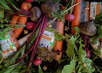 Dubai Farms Initiative Gains Momentum with Bumblebee Farm’s Commitment to Local Agriculture