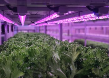 Cost-effective and safe water reuse empowers growers to achieve more with less