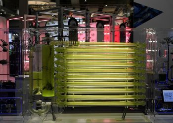 Alternative proteins: Feed from sustainable cycles