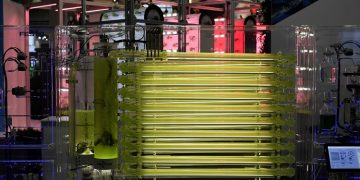 Alternative proteins: Feed from sustainable cycles