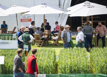 DLG Feldtage 2024: “Next Level” crop production