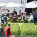 DLG Feldtage 2024: “Next Level” crop production