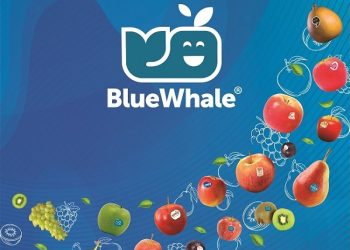 Blue Whale® ends season with record turnover