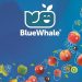 Blue Whale® ends season with record turnover
