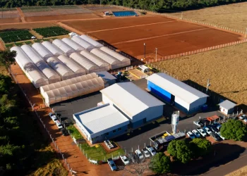 Inauguration R&D station KWS Vegetables Brazil