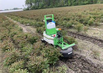 Innovation and Automation in Weed Control