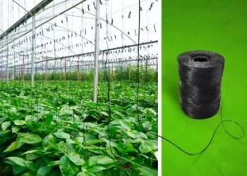 Industrial compostable biopolymer for greenhouse twines