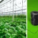 Industrial compostable biopolymer for greenhouse twines