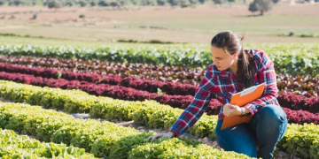 Top Three Tips to Kickstart Your Row Crop Season Right