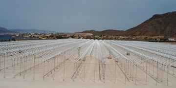 J. Huete Greenhouses begins construction of 15 hectares of Gothic greenhouses in Spain