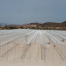 J. Huete Greenhouses begins construction of 15 hectares of Gothic greenhouses in Spain