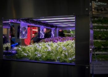 Agriculture on a high level: Controlled Environment Agriculture as a blueprint for production systems of the future