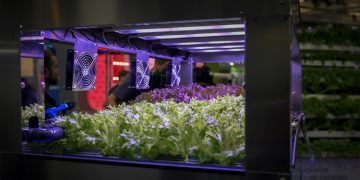 Agriculture on a high level: Controlled Environment Agriculture as a blueprint for production systems of the future