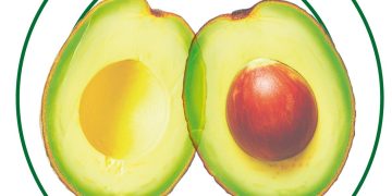 The avocado will be the star product at the next edition of Fruit Attraction