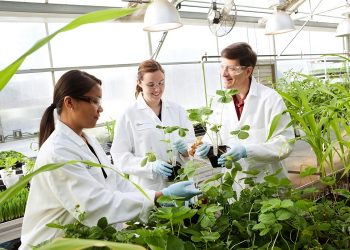 Open Innovation: Bayer awards incubator opportunity to Genvor