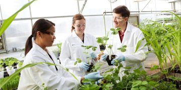 Open Innovation: Bayer awards incubator opportunity to Genvor