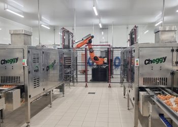 Cheggy’s U.S. launch marks a new era in hatchery innovation