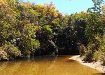 Coffee Farming: Smart agriculture program projects to save up to 30% water for plantations