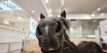 EuroTier 2024: Spotlight on current topics in the livestock sector