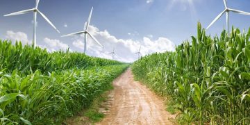 Stamicarbon (MAIRE) to provide NX Stami Green Ammonia and NX Stami Nitric Acid technologies for low-carbon fertilizer plant in France