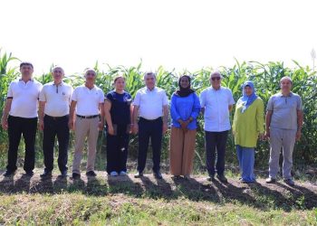ICBA Enhances Agricultural Research and Development Collaborations in Uzbekistan