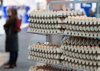 Managing the competitiveness of animal husbandry