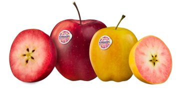 Kissabel® Is Back In The Northern Hemisphere,   With A Focus On The Consumer